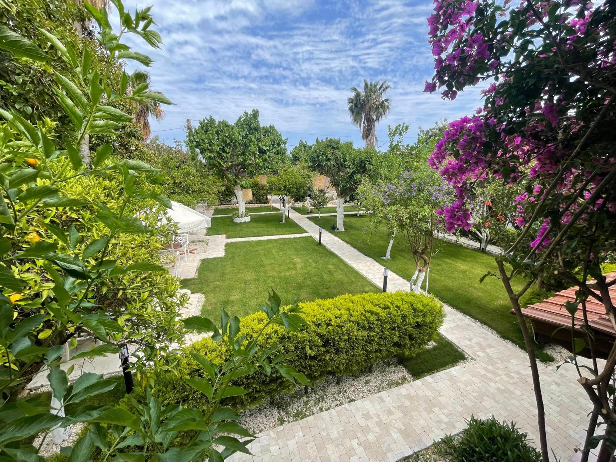 Alican Pension Çıralı Exteriér fotografie