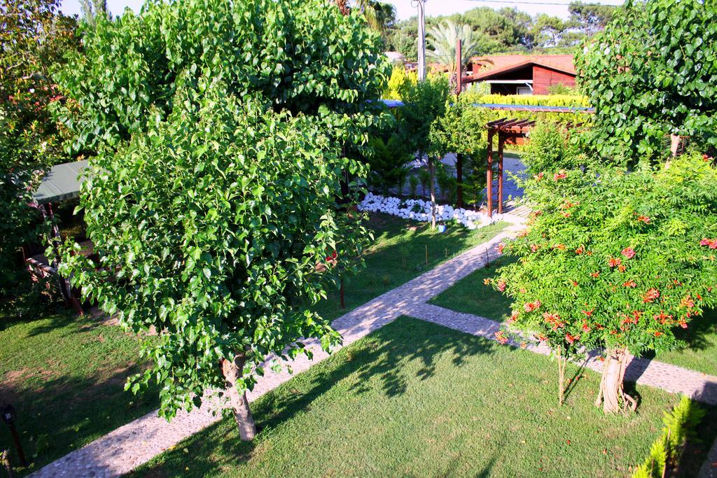 Alican Pension Çıralı Exteriér fotografie