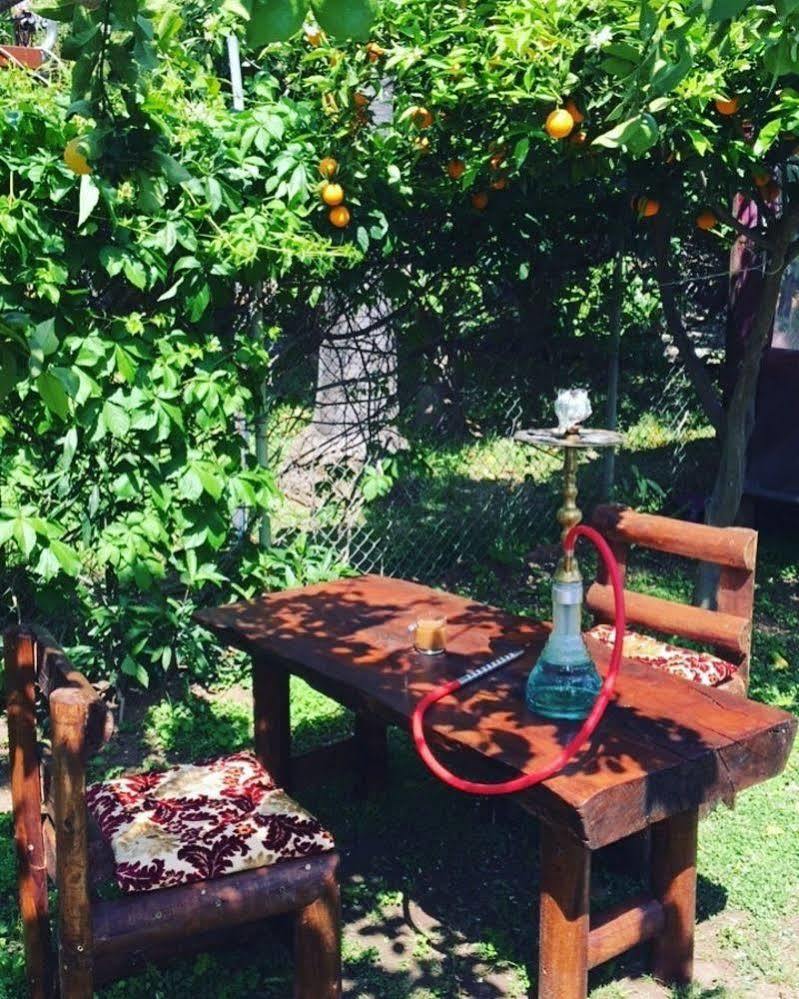 Alican Pension Çıralı Exteriér fotografie