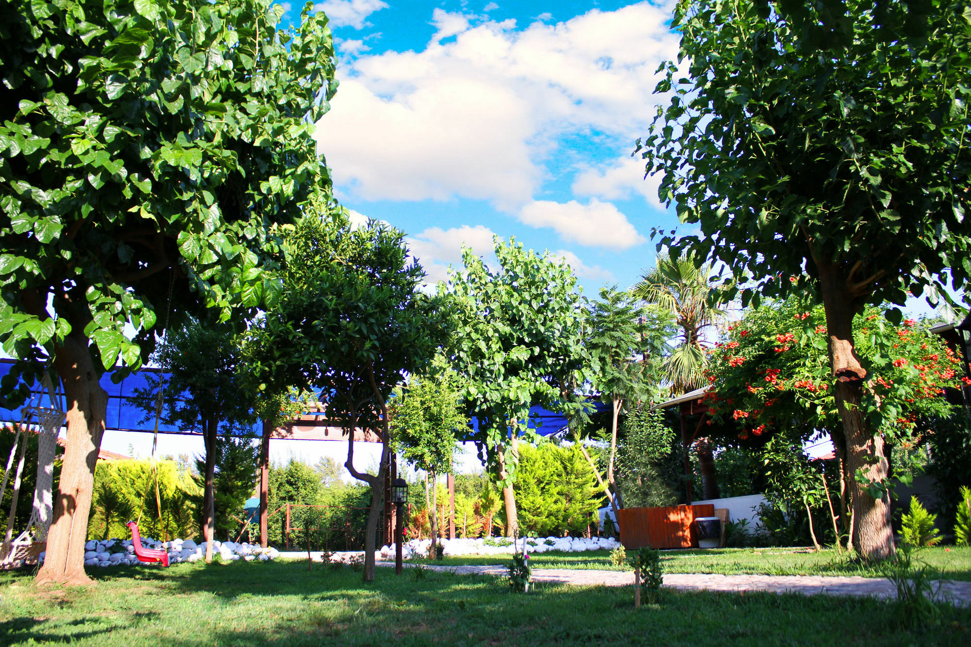 Alican Pension Çıralı Exteriér fotografie