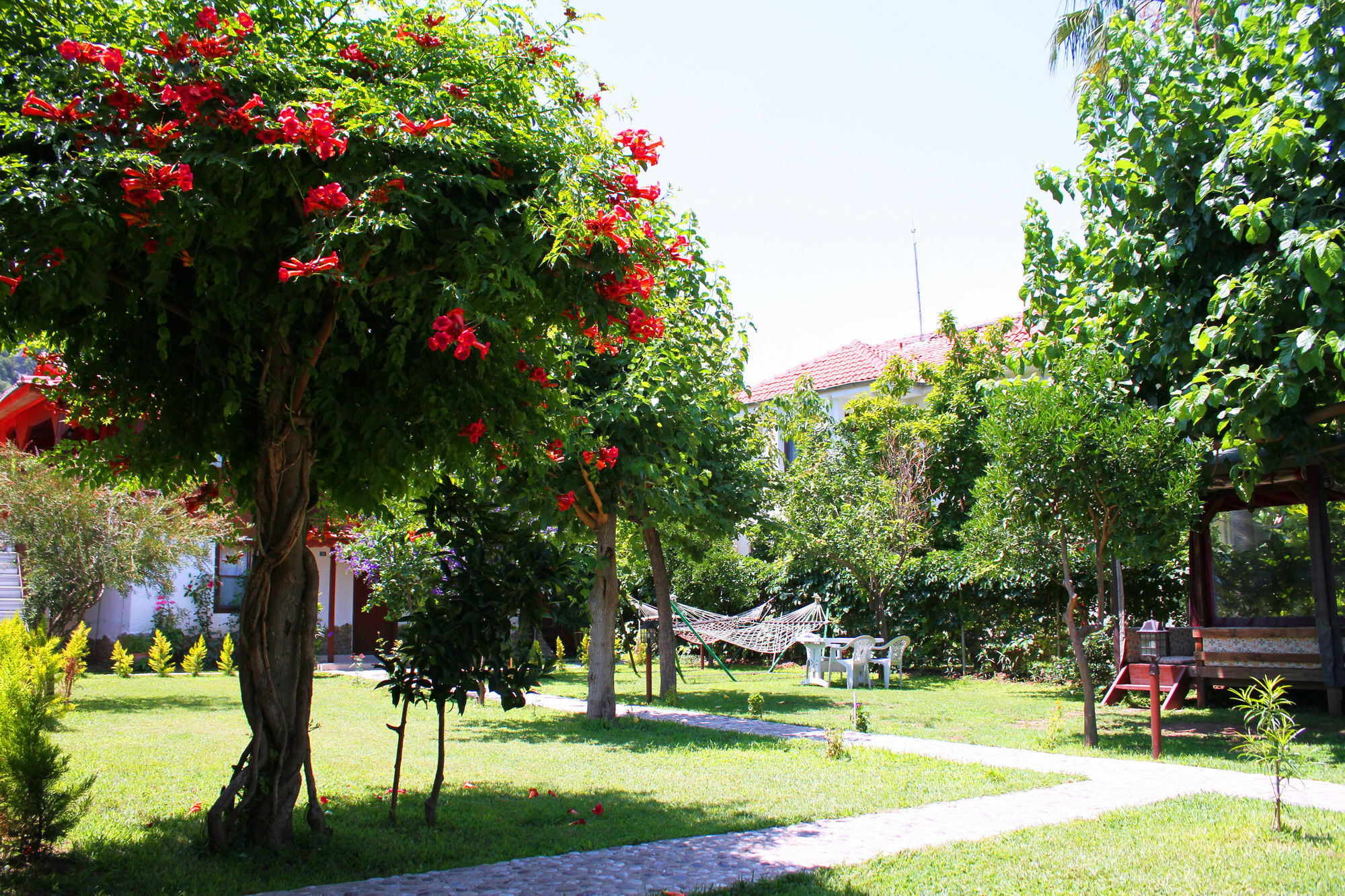 Alican Pension Çıralı Exteriér fotografie